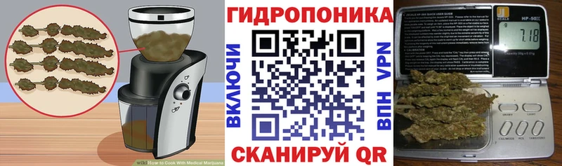 Canna-Cookies марихуана гидра вход Томилино