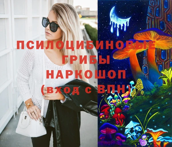 PSILOCYBIN Алексин