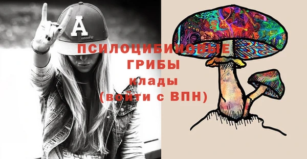 скорость Абаза