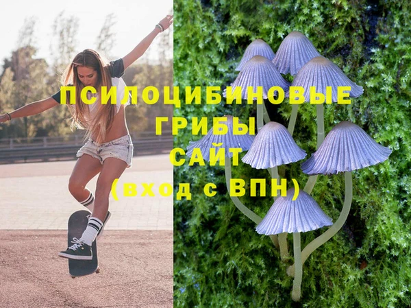 шишки Алексеевка