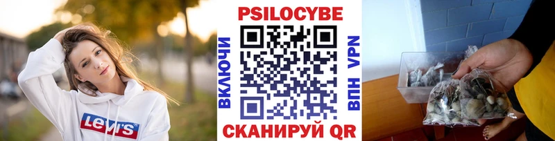 MEGA онион  Томилино  shop формула  хочу   Галлюциногенные грибы мицелий 